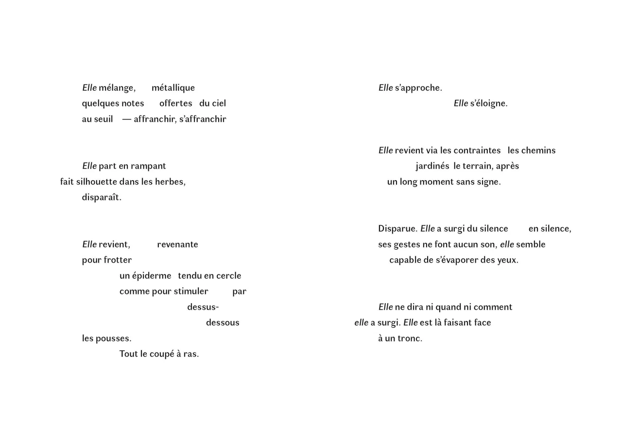 {danceforplants en Ariège}, 2019 (p. 52-53)