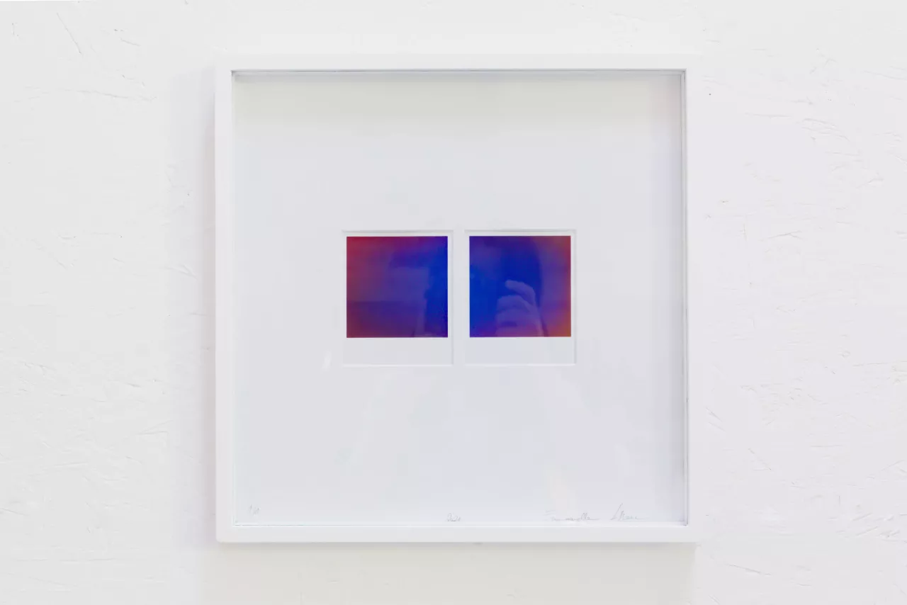 {Photo-diffuse II}, 2021