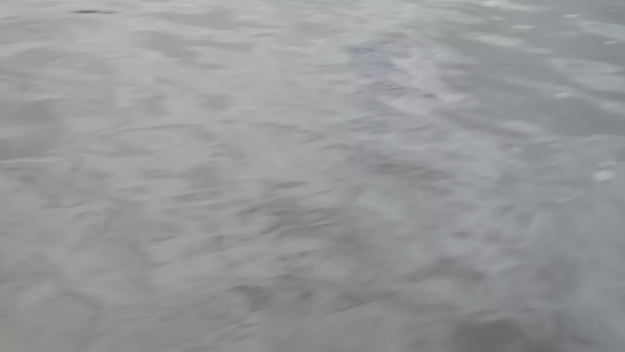 Fleuve 4