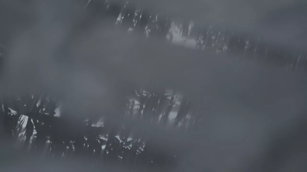 Reflet 1