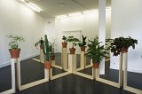 {Ruru Kita}, 2011