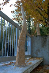 Vues de l'exposition personnelle À force égale (2019), Maison des arts plastiques de Champigny-sur-Marne