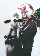 {Rocko mon agneau}