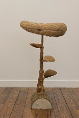 {Sapin à chat I,} 2016
