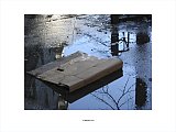 {Flottant, New York, 19 janvier 2004}
