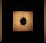 {Bogues, Haute-Vienne}, 2009