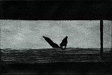 {Film,} 2000 
