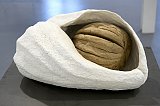 {Coquillage et noix,} 2012
