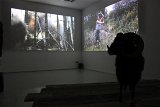 Entre chiens et loups, Progress Gallery, Paris, 2016