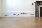 {Mute : branche}, 2017