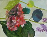 {Branche d'hortensia}, 2017