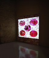 {Aujourd'hui j'ai joui - Version II,} 2004