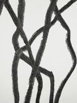 {Écho erratique}, 2017-2018