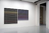 {Vertice Anayet}, 2008