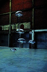 {Méduses luminescentes,} 2006