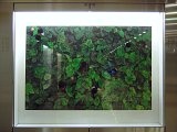 {Bégonias}, 2004