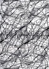 {Dessin 82,} 1983