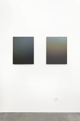 {Diffuse vert-versicolore} et {Diffuse gris-versicolore}, 2016