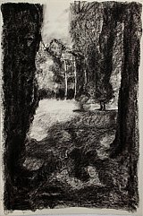 {130 Avenue de la Belle Etoile}