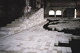{Une feuille d'acanthe,} 1990