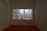 Vue de l'exposition Première 23e édition, Centre d'art contemporain La Chapelle Jeanne d'Arc, Meymac, 2017