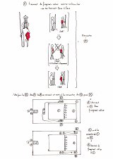 Document de recherche pour la mise en scène de l'intronisation
