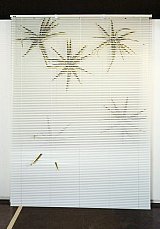 {5 agaves 96,} 2001