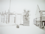 {In the ParK 11,} 2014