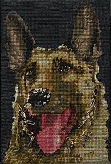 {Douane} (série {Trained Dogs})