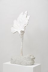 {Morse végétal,} 2015