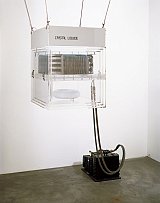 {Cristal Liquide,} 1982