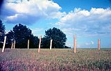 {Forêt,} Lalinde, 1976