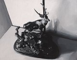 {Miniature}, 2007