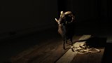 {{Comme un écho}}, exposition à l'École d'art de Bayonne, 2016