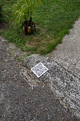 gris s'effleurent à distance deux liserés métalliques 