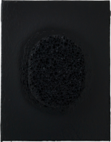 {Microscosm (Sponge),} 2016 