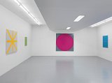 Vue de l'exposition David Malek. New Paintings, Galerie Triple V, Paris, 2015