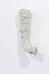 {Trompe,} 2012