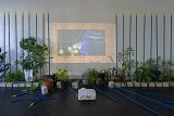 {Jardin public}, 2020