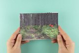 Edition de cartes postales à partir d'une sélection de photographies de la série Nos châteaux de sable ne meurent pas avec l'été