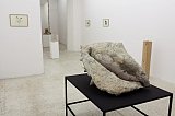 {Conch,} 2011