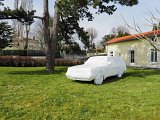 {The White Car}