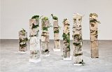 {Temple of Seeds}, 2023