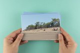 Edition de cartes postales à partir d'une sélection de photographies de la série Nos châteaux de sable ne meurent pas avec l'été