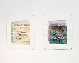 Vue de l'exposition Castor, l'amant de la rivière, Artothèque de Caen, 2024