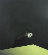 {Field of View}, 2011