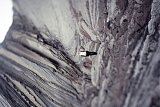 {Autoportrait, Zumaia (Espagne), 2010}