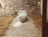 Installation, Villeneuve-lez-Avignon, 1980
