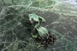  Crapaud chanteur, 2019 Céramique, socle pare-brise et résine, 25 x 20 x 8 cm Crapaud cornu aux œufs, 2019 Céramique, socle pare-brise et résine, 25 x 20 x 8 cm