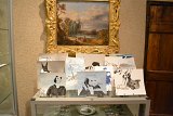 Table des dessins offerts
